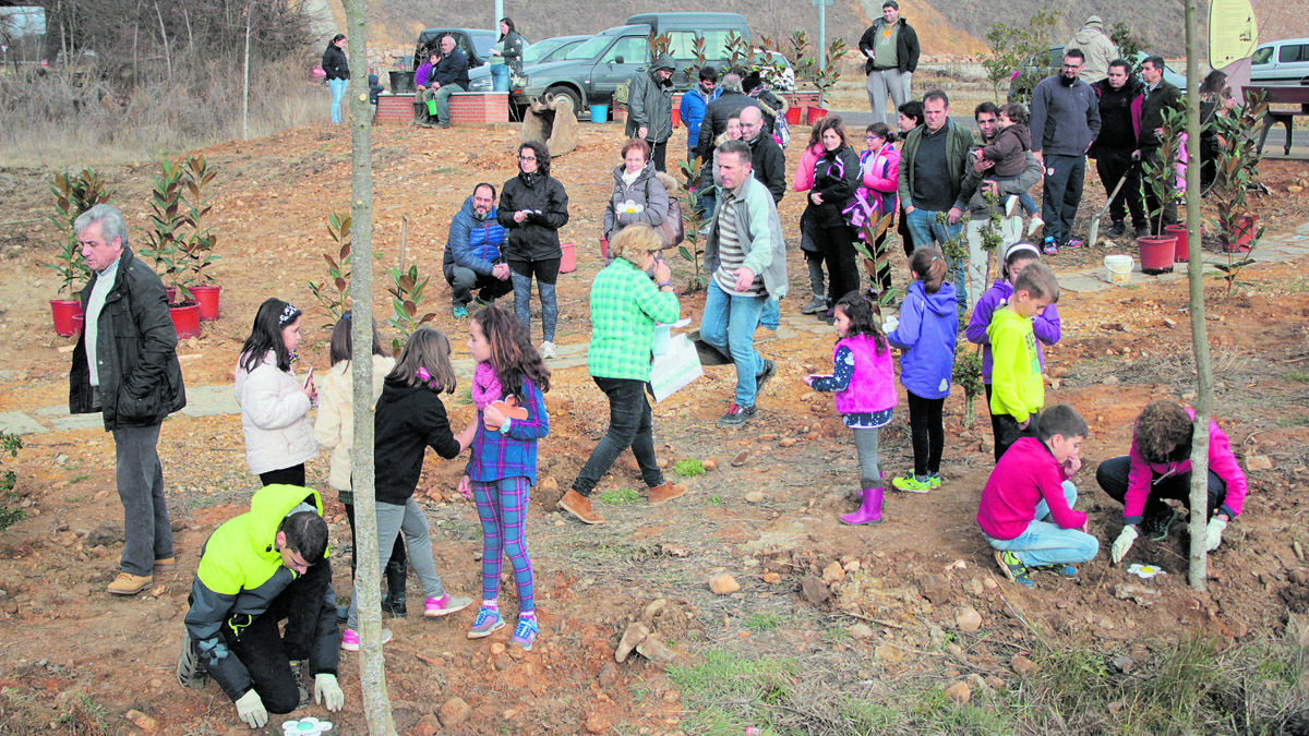 Un momento de la plantación de los árboles en Estébanez. | P. FERRERO