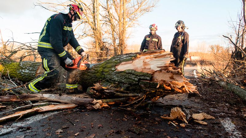 Los Bomberos retiran un árbol caído en la vía peatonal y ciclista que une el parque de la Granja con la Candamia. | BOMBEROS DE LEÓN