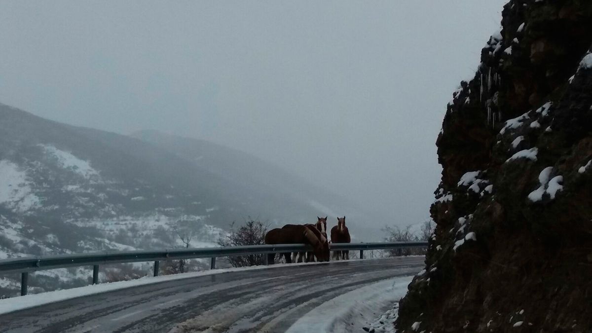Complicaciones en las carreteras por las copiosas nevadas al norte de la provincia. | E. Niño