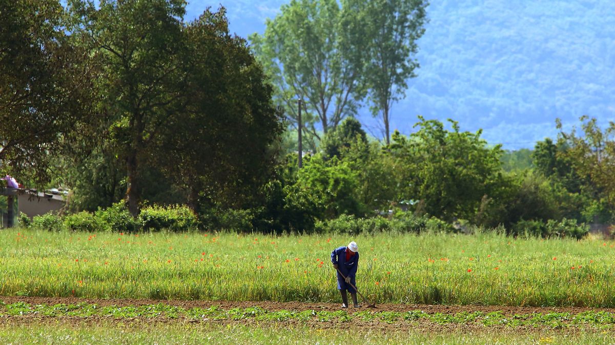 Un agricultor trabaja en una huerta de la comarca. | C.S. (ICAL)