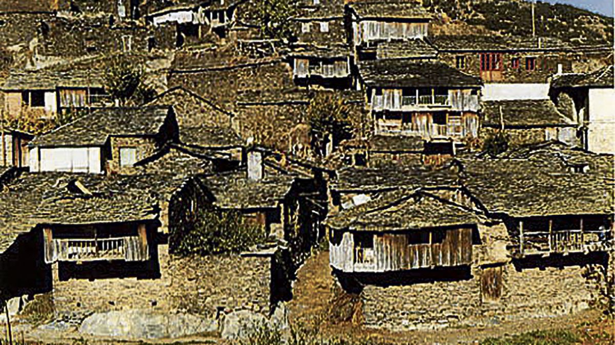 Nogar, muy difícil de encontrar fuera de Cabrera.