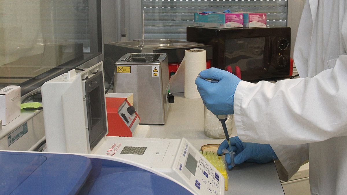 Imagen de archivo de una laboratorio. | ICAL Imagen de archivo de una laboratorio. | ICAL