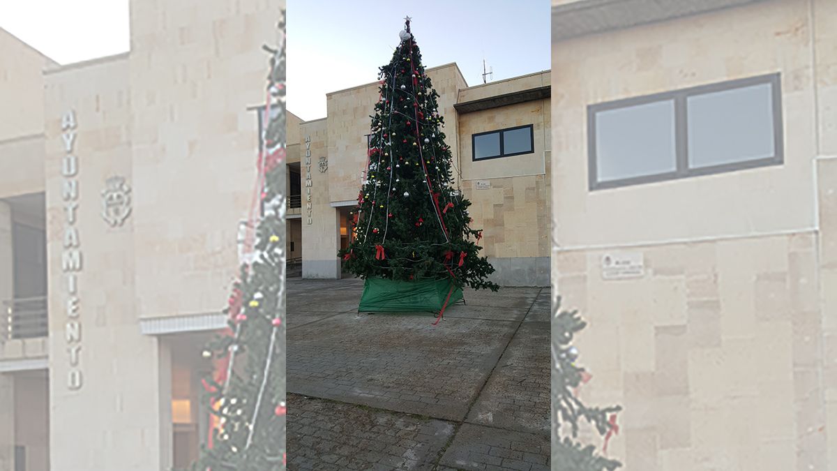 El árbol de Navidad situado en la plaza del Ayuntamiento de San Andrés. | L.N.C.