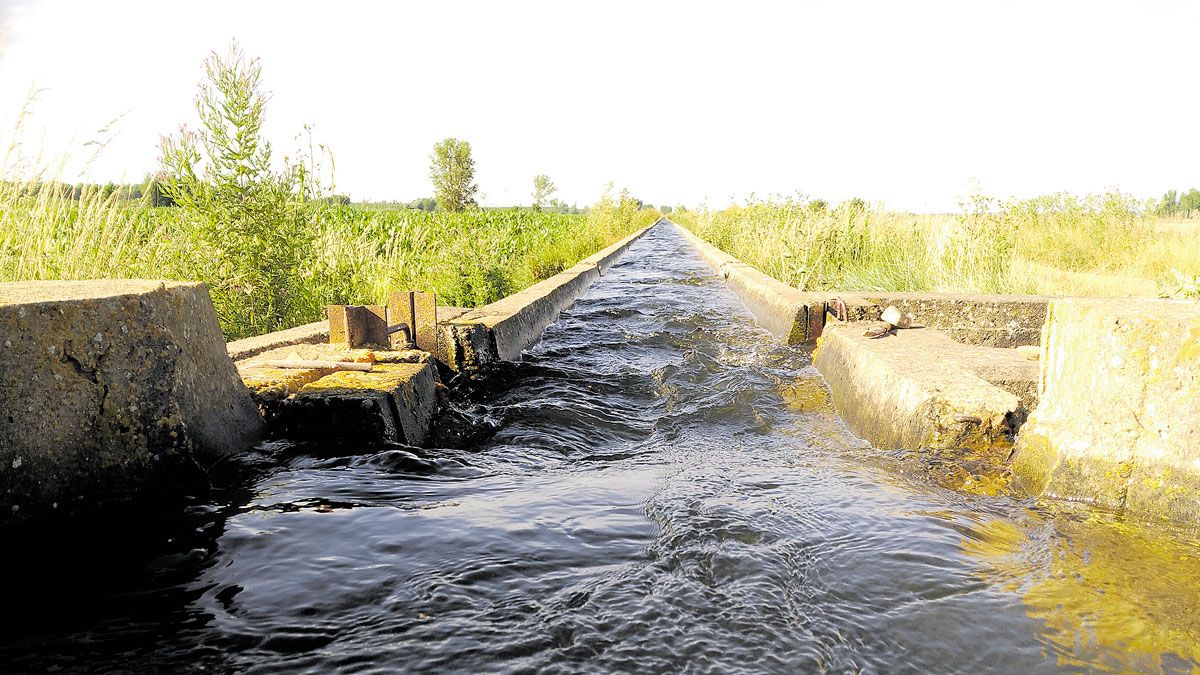 La CHD cobra a las comunidades de regantes el canon del agua y la tarifa de utilización de la misma anualmente. | T.G.