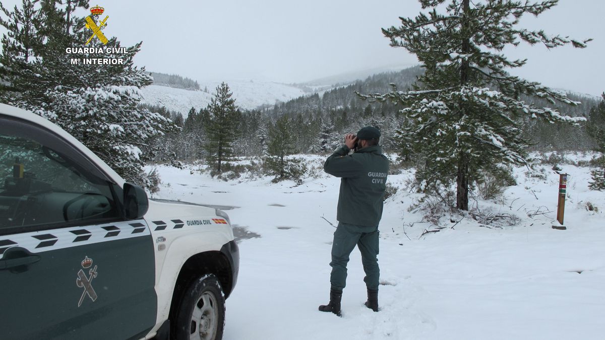 Efectivos de la Guardia Civil durante las labores de búsqueda. | GUARDIA CIVIL