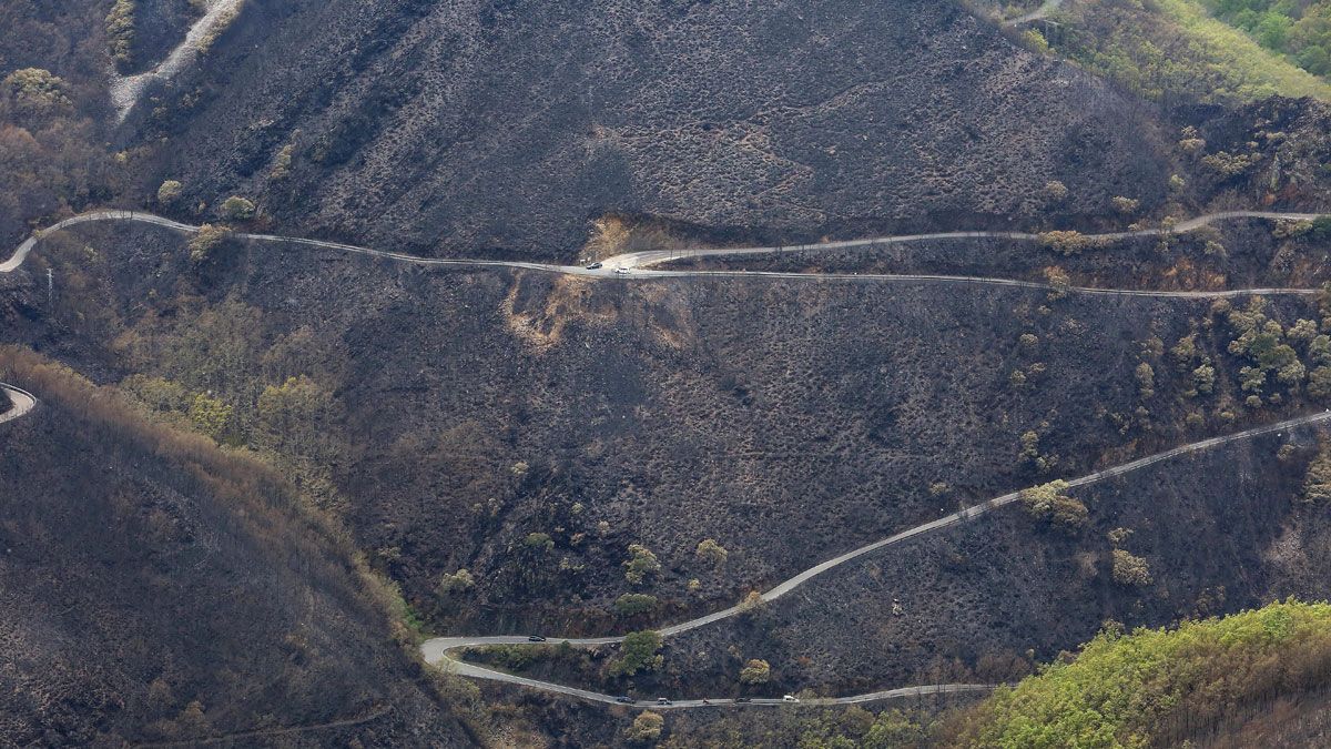 El paisaje de la Tebaida quedó ennegrecido por las llamas.| ICAL