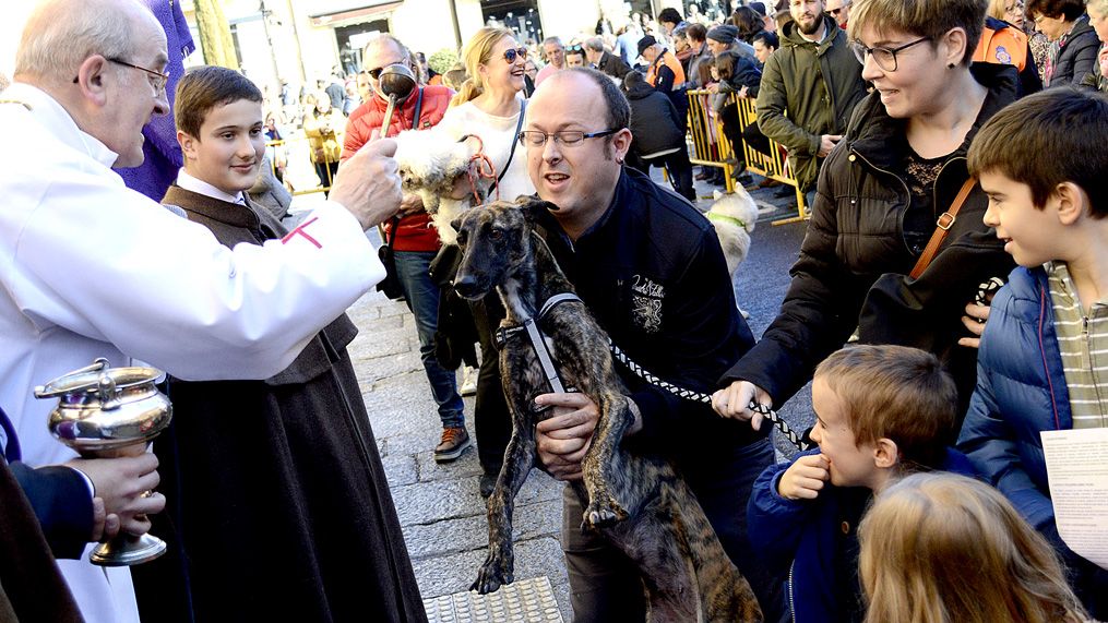 Uno de los animales que este domingo recibió la bendición de San Antón. | DANIEL MARTÍN