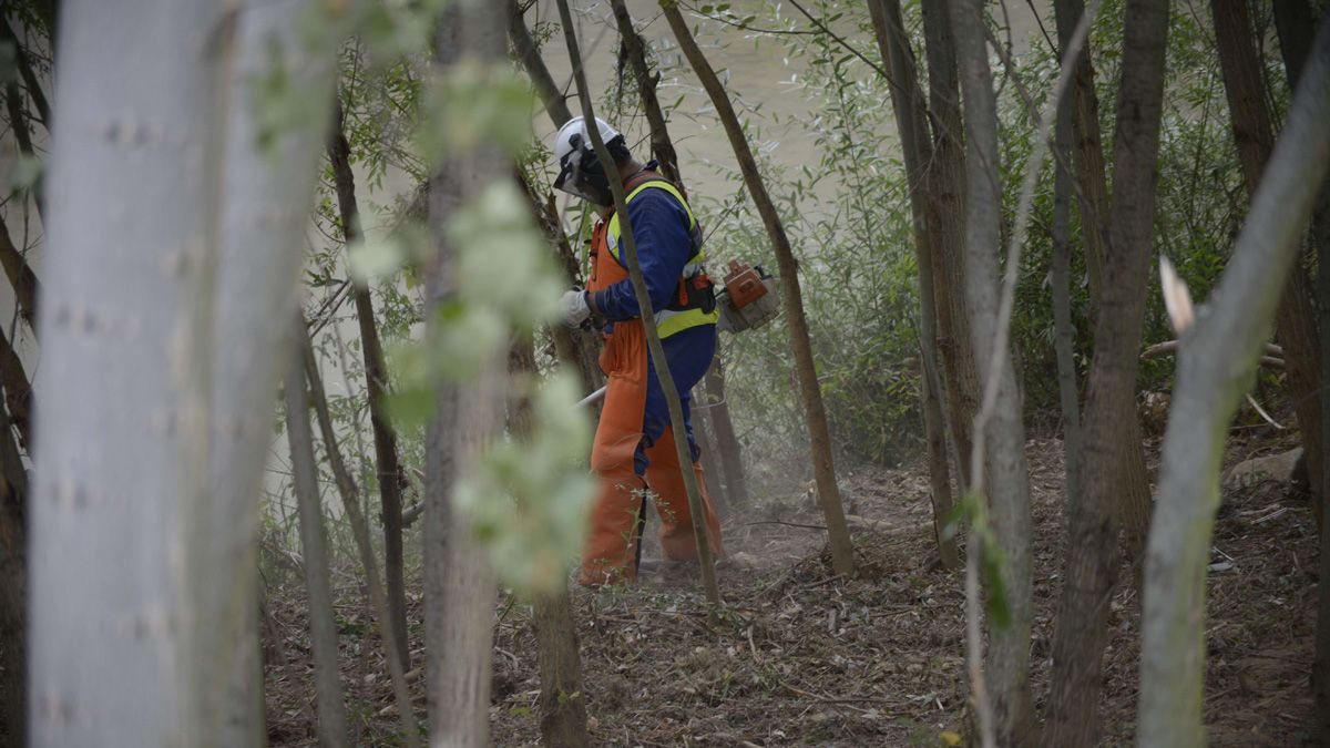 Un trabajador desbroza la ribera del Bernesga en León. | MAURICIO PEÑA