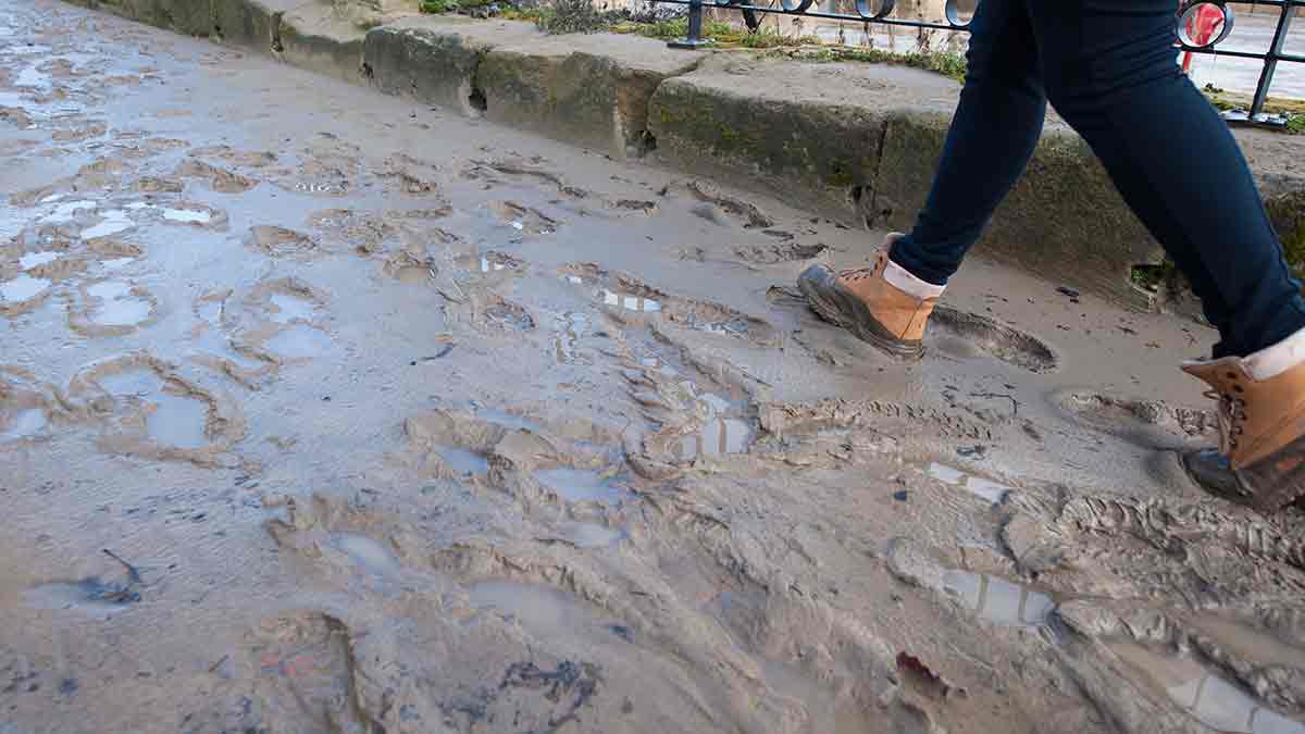 Los daños causados por la climatología serán compensados a través de subvenciones. | ICAL