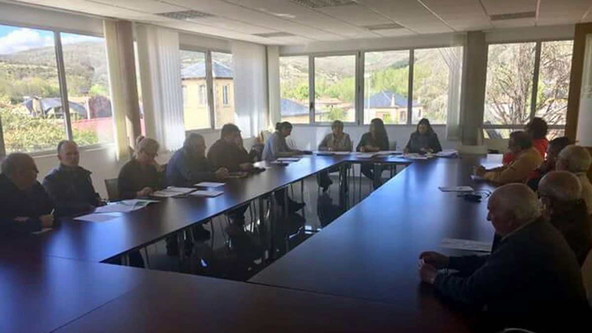 La presidenta del GAL, Carmen Mallo, durante una reunión de trabajo. | L.N.C.