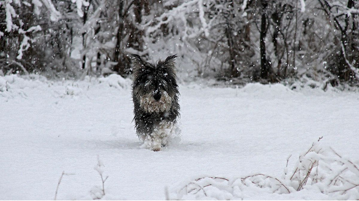 Imagen de archivo. | ICAL