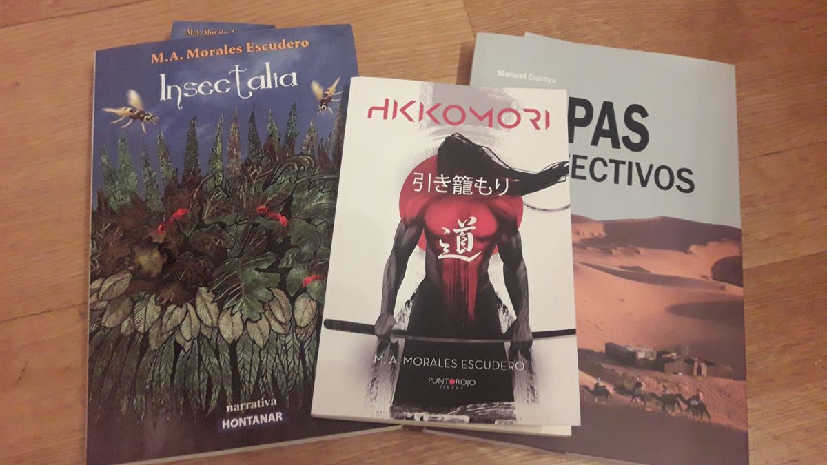 Portada del libro protagonista de la colaboración de Ruy Vega sobre otras publicaciones bercianas.