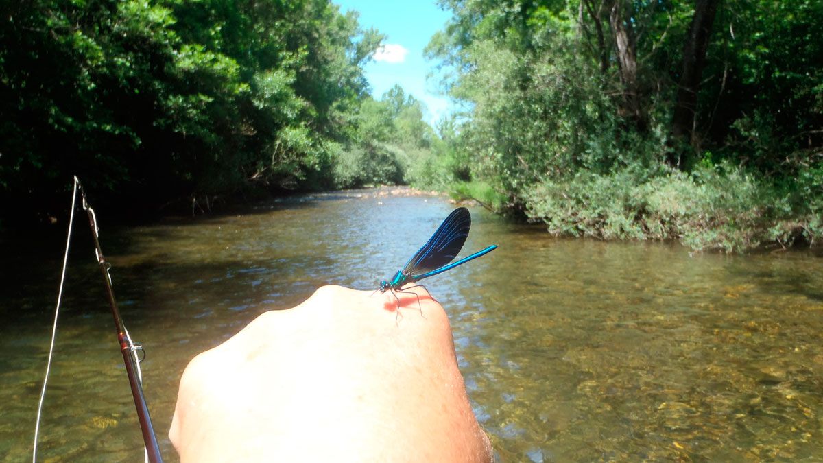 Un momento de pesca en el gran paraje que supone siempre el río Torío. | R.P.N.