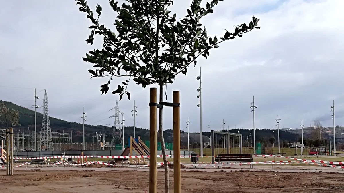 Nuevas obras en el barrio de La Rosaleda. | M.I.