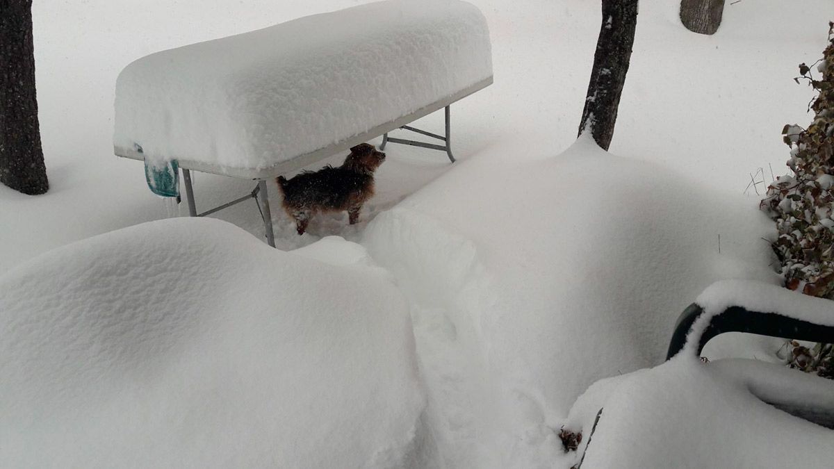 Nieve en la localidad leonesa de Cármenes durante la mañana de este viernes. | L.N.C.