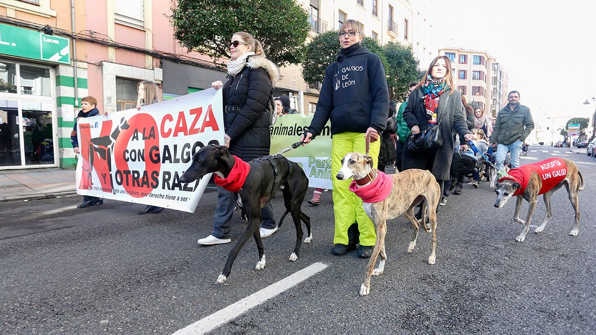 manifestacion-perros-caza-4218.jpg