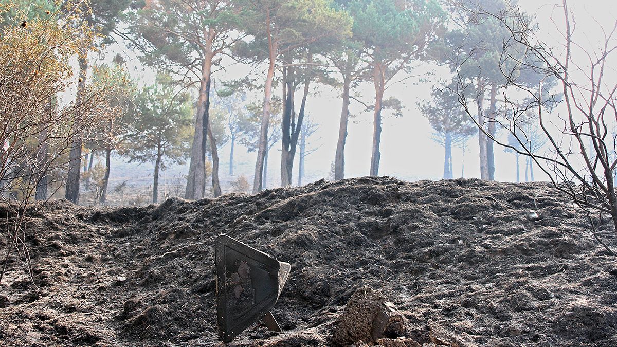Imagen de la zona quemada en La Cabrera. | ICAL