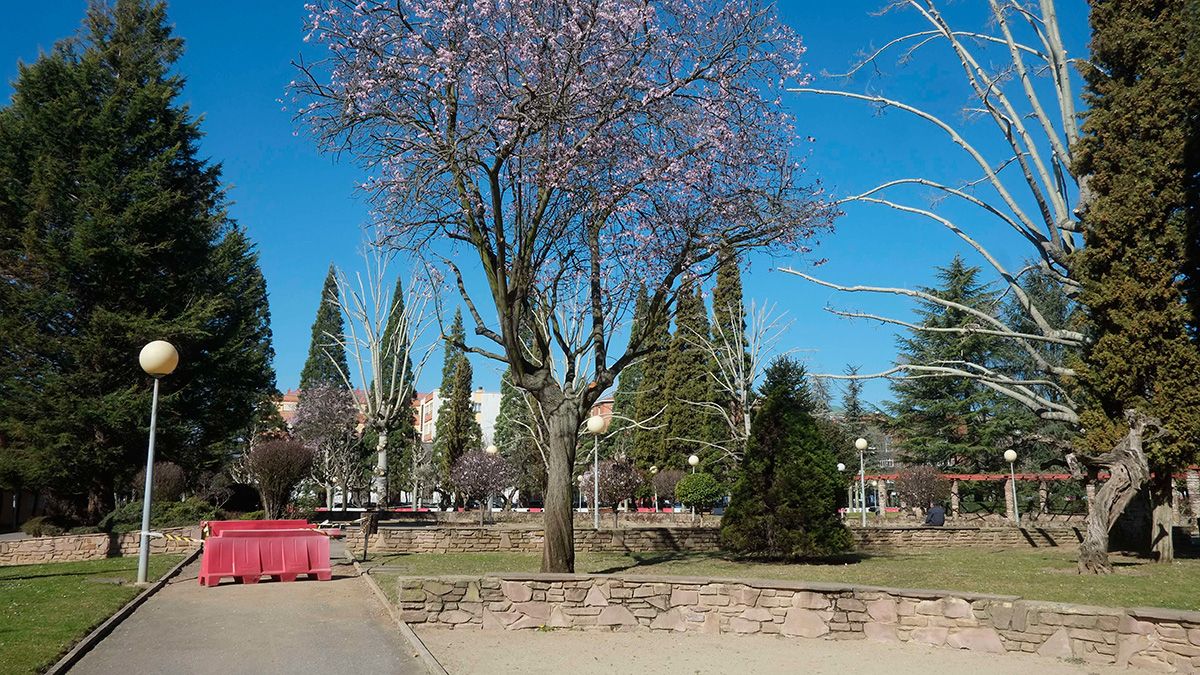 El estado de los parques y jardices acapara 1.171 expedientes. | DANIEL MARTÍN