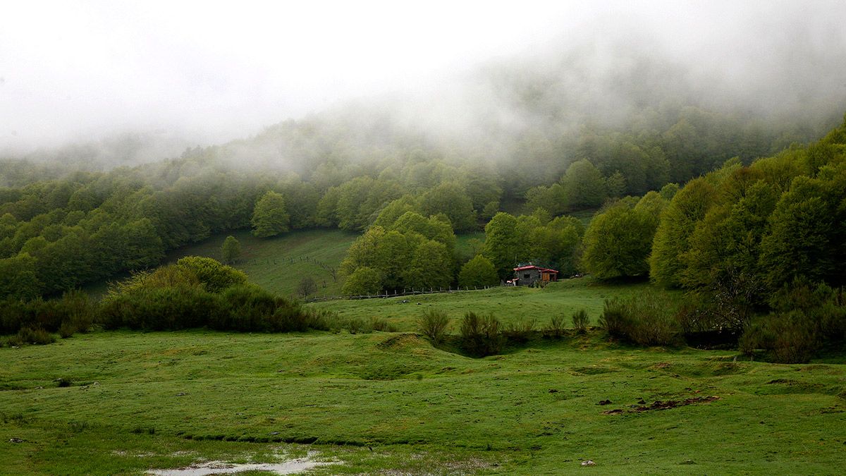 Imagen de archivo del Parque Nacional de Picos de Europa. | ICAL