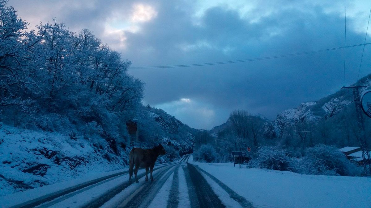 Nieve en la comarca de Gordón a primera hora de la mañana de este martes.