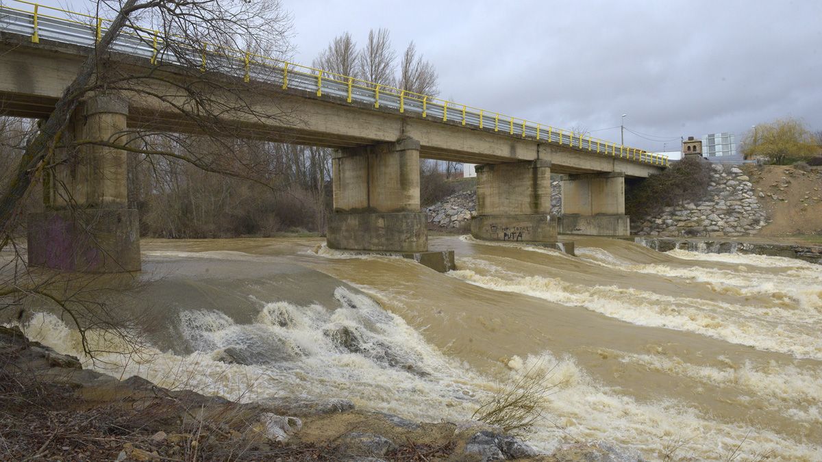 Las lluvias de los últimos días han aumentado considerablemente el caudal de los ríos leoneses. En la imagen, el Bernesga. | MAURICIO PEÑA