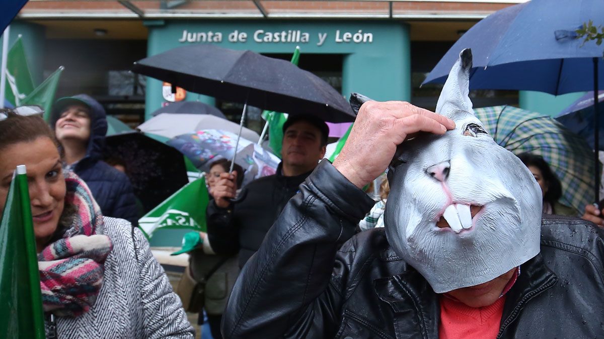 Los agricultores se manifestaron en Ponferrada con caretas de conejos contra la plaga de estos roedores. | ICAL