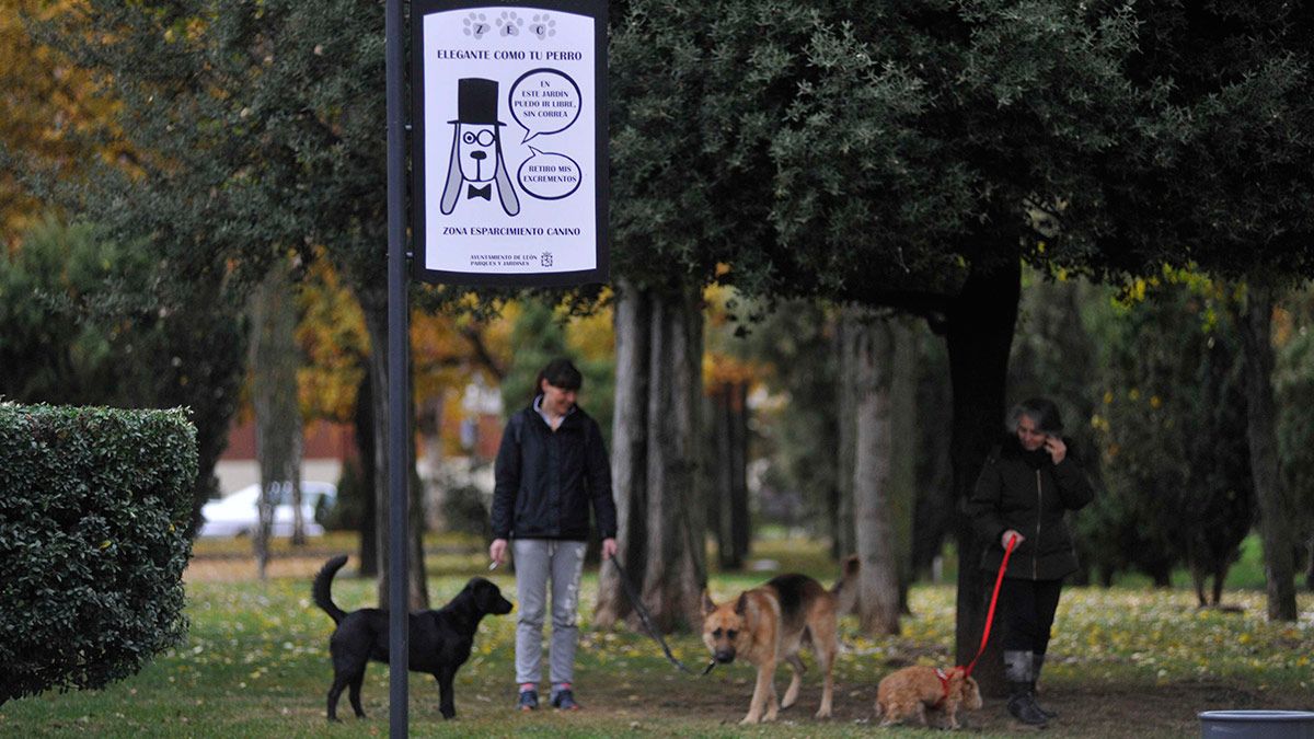 Una de las zonas de esparcimiento canino de la ciudad de León, en una imagen de archivo. | DANIEL MARTÍN