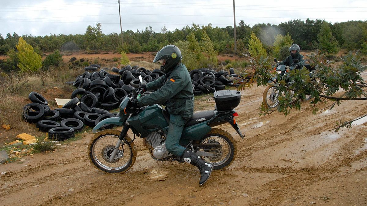 Agentes del Seprona en una imagen de archivo. | MAURICIO PEÑA Agentes del Seprona en una imagen de archivo. | MAURICIO PEÑA