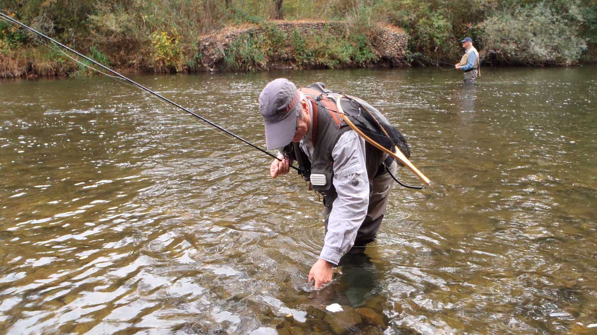 Un pescador devuelve una trucha al Porma. | R.P.N. Un pescador devuelve una trucha al Porma. | R.P.N.