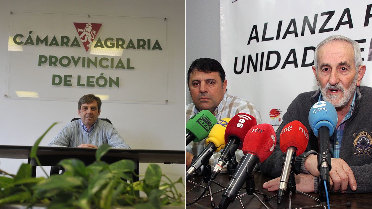 Arsenio García Vidal inició otro mandato al frente de la Cámara Agraria. Apolinar Castellanos (izq.), de Ucale-Coag, y Matías Llorente, de Ugal-UPA. | D. MARTÍN / ICAL