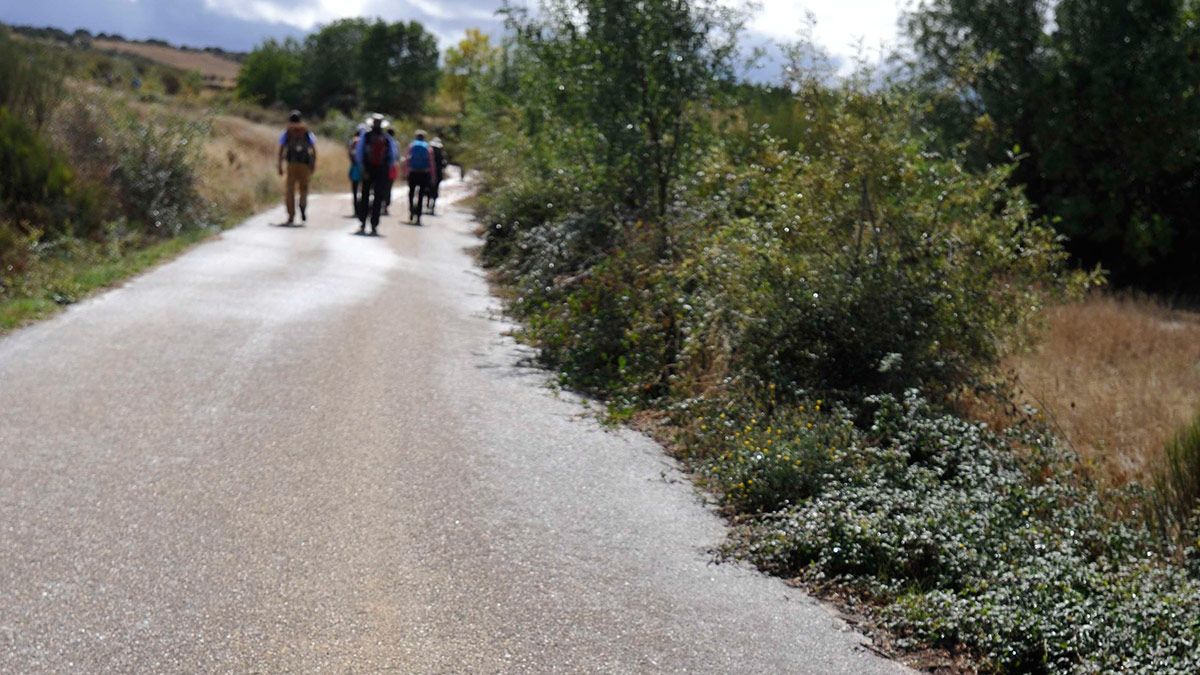 Un grupo de excursionistas en un paraje rural de la provincia. | DANIEL MARTÍN