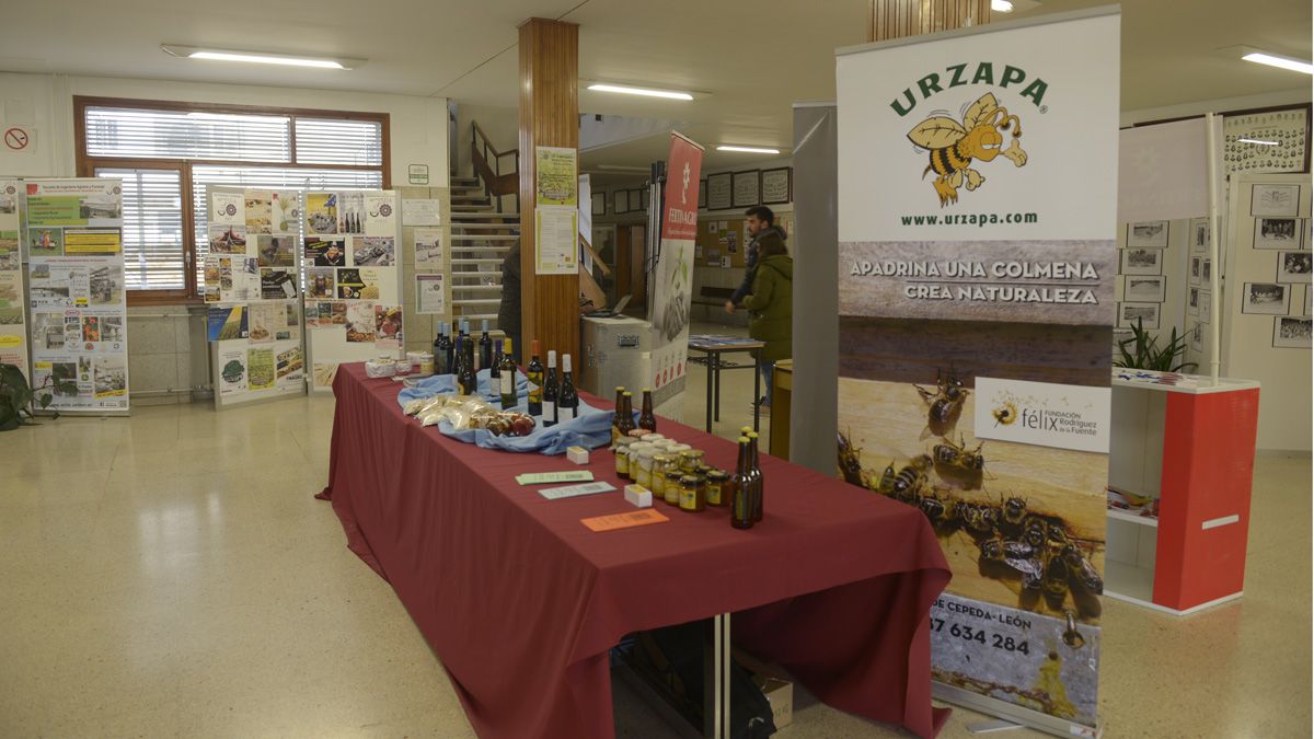 La exposición estará abierta al público durante dos días. | MAURICIO PEÑA La exposición estará abierta al público durante dos días. | MAURICIO PEÑA