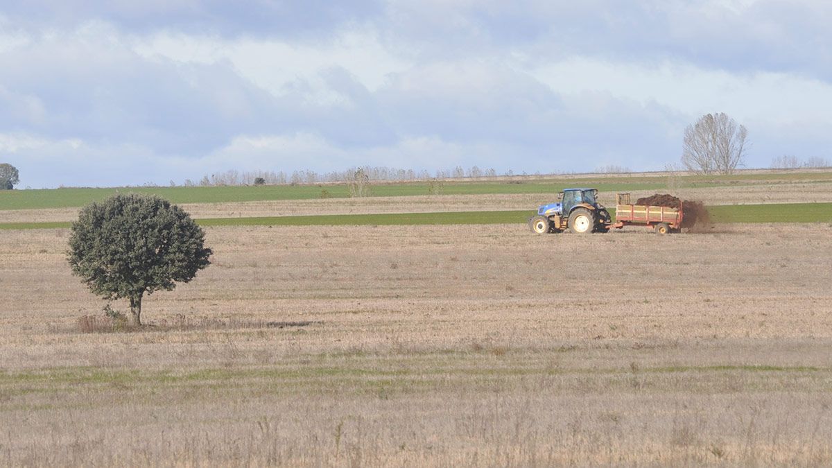 Un agricultor de León abonando una finca. | DANIEL MARTÍN