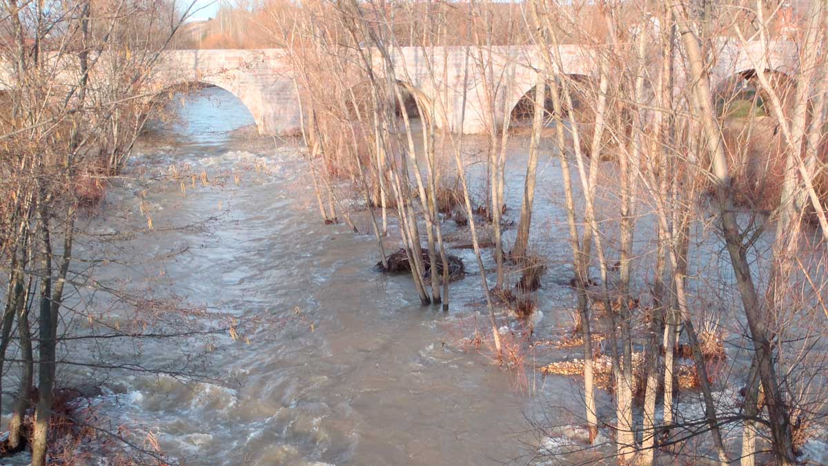El río Torío a su paso por León en Puente Castro. | R.P.N.