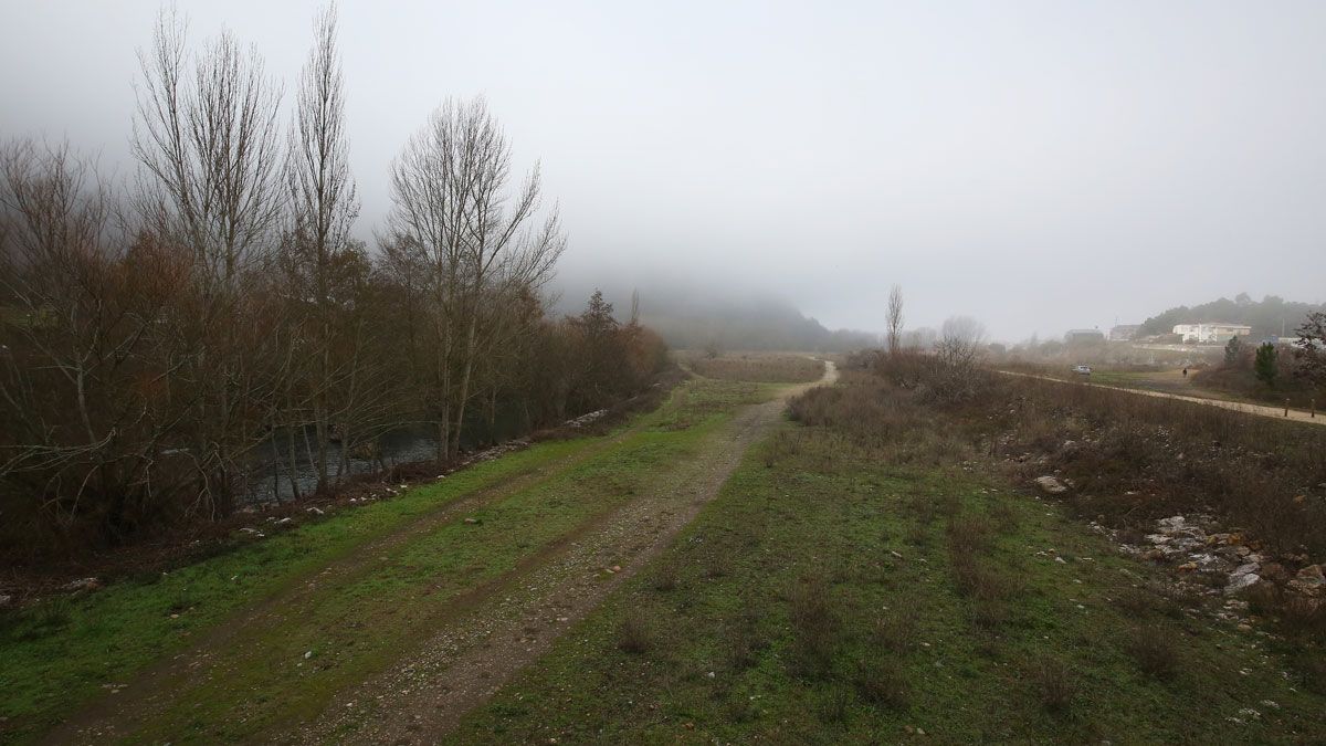 Parte de la orilla del río que se adecuará para el paseo. | ICAL