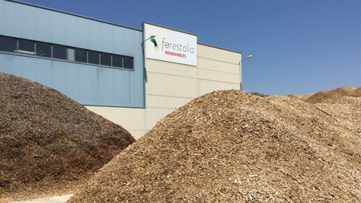 Forestalia podría instalarse de facto en Cubillos en dos años.