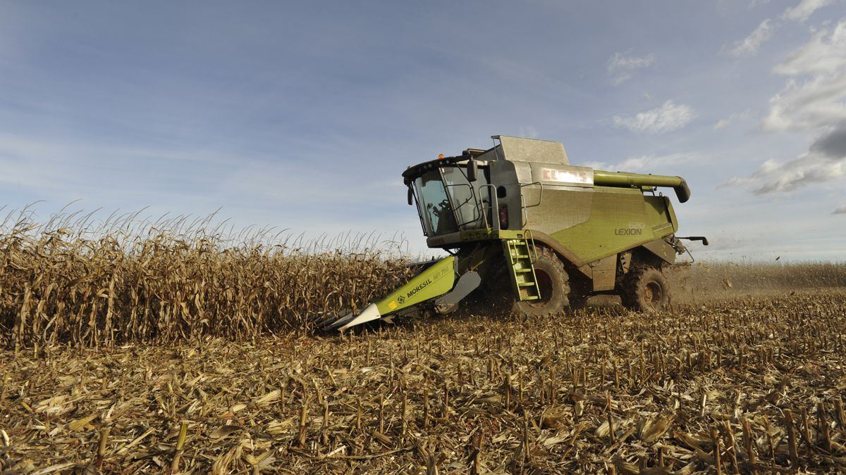 Los agricultores representan buena parte de los autónomos. | DANIEL MARTÍN