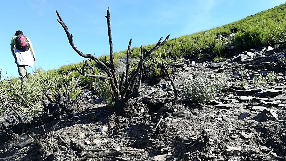 Proyectos de los alumnos del IES Gil y Carrasco de Ponferrada. | C.S. (ICAL)