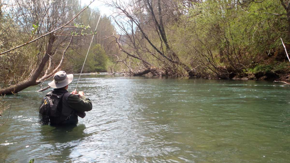 Un pescador realiza una captura en el Torío. | R.P.N.