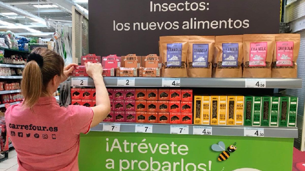insectos-carrefour-19418.jpg