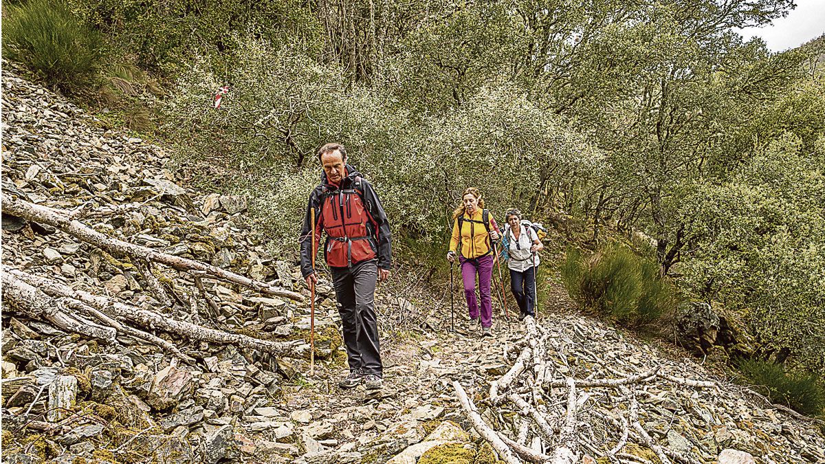 Sendero de la Peñona. | VICENTE GARCÍA