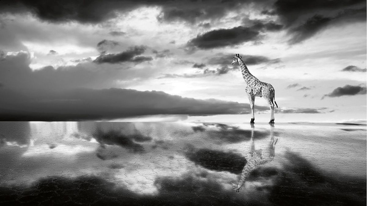 Premiada fotografía de Richard Le Manz, que protagoniza una exposición en el Festival de la Cultura.