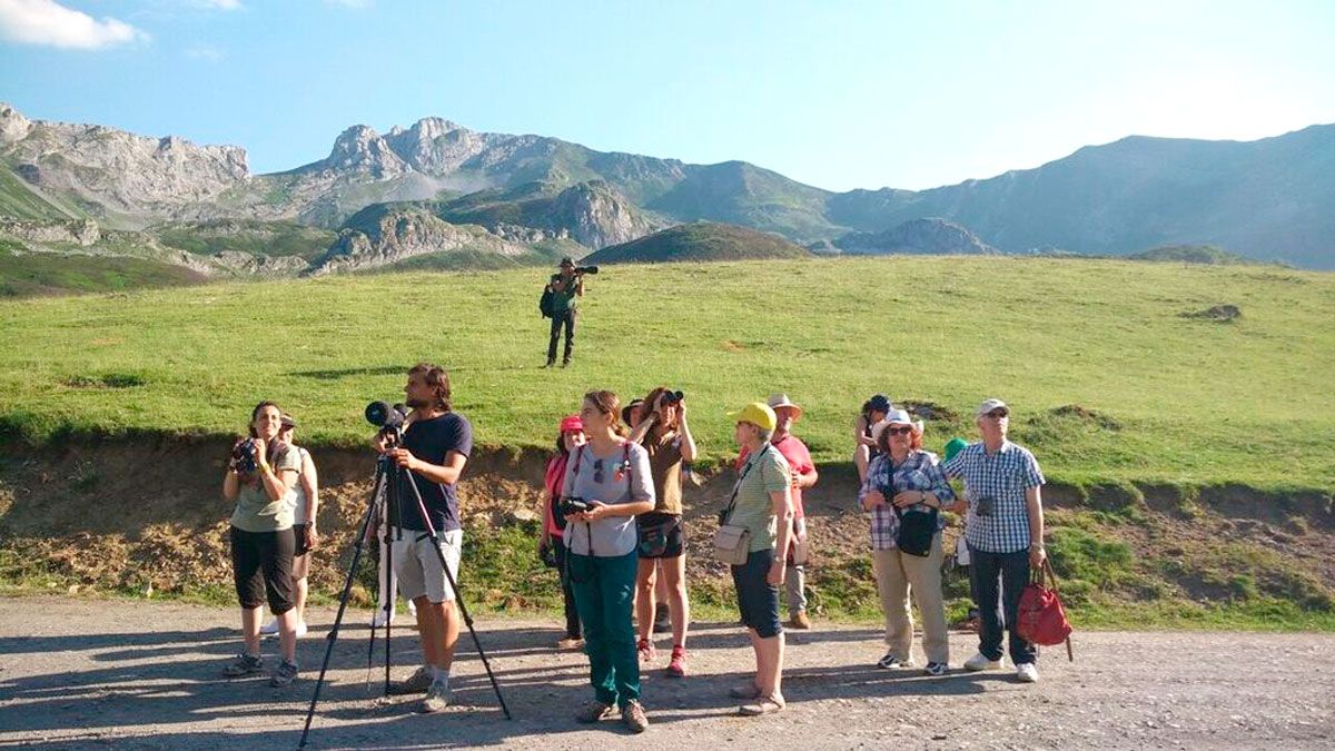 En junio vuelven las jornadas sobre aves en ‘Más que pájaros’. | FCAYC