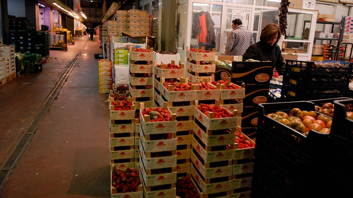 Las instalaciones de Mercaleón distribuyeron el año pasado un total de 18.445.000 kilos de frutas y hortalizas. | MAURICIO PEÑA