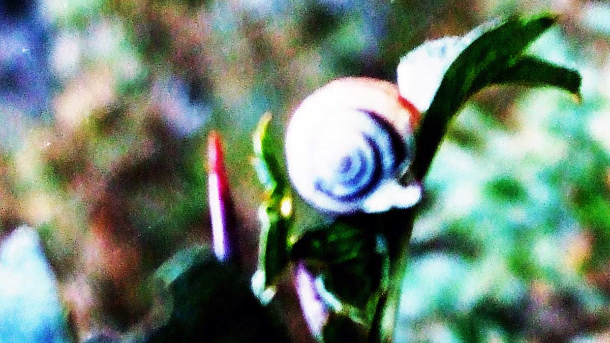 Una de las fotografías manipuladas que se pueden ver en la exposición | E. FERNÁNDEZ