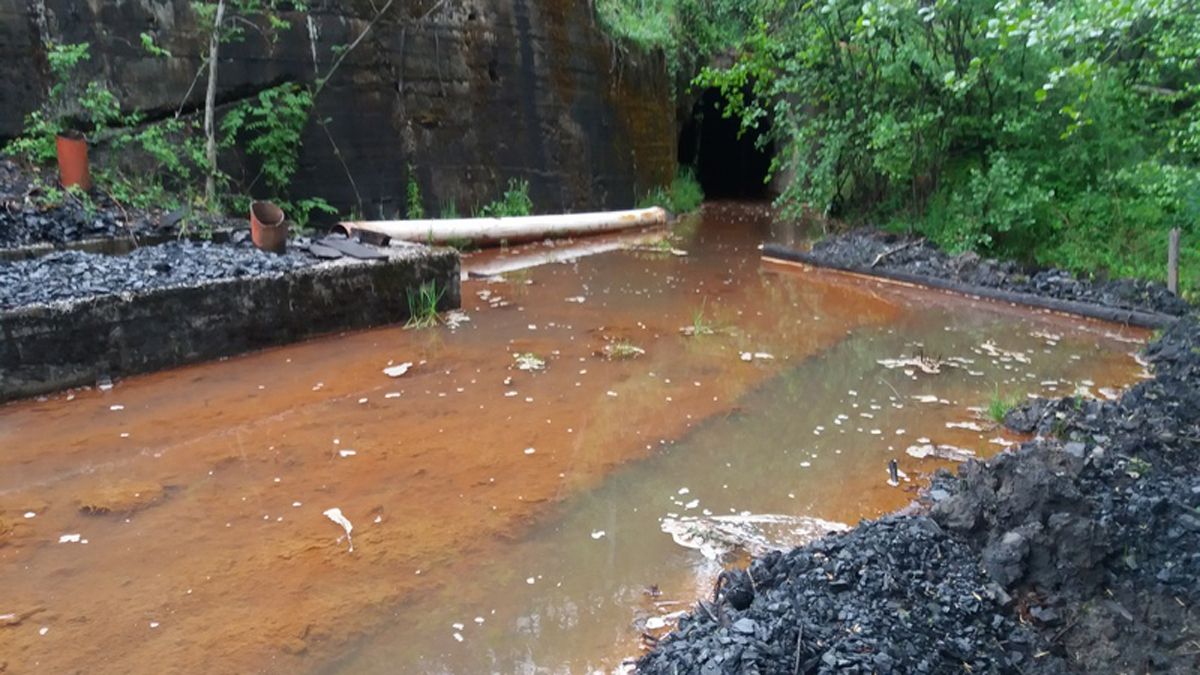 Imagen de un río cuyas aguas bajan contaminadas.