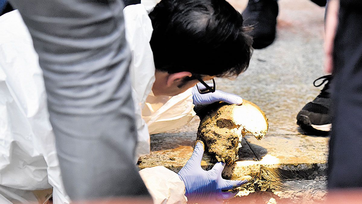 En la zanja fue hallado al menos un cráneo junto con otros restos óseos. | Saúl Arén