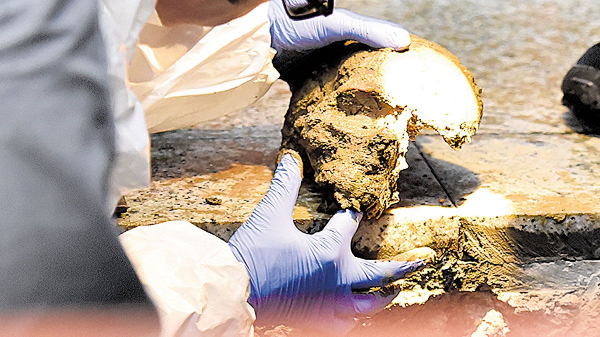 La calavera de la imagen fue hallada el pasado lunes en una zanja en la plaza de Santo Domingo. | SAÚL ARÉN