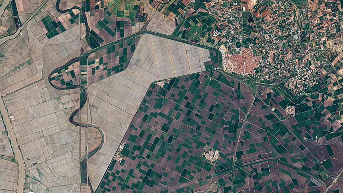 Evolución de una zona agrícola recogida por el Copernicus Sentinel-2. | L.N.C.