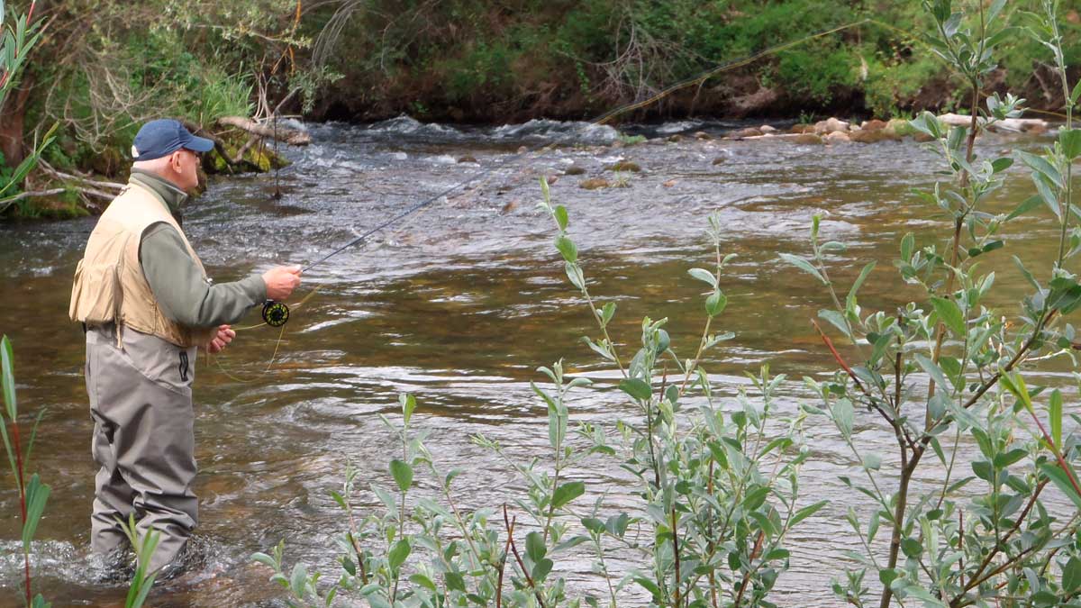 La pesca volverá a ser protagonista principal en la Semana Internacional de la Trucha. | R.P.N.